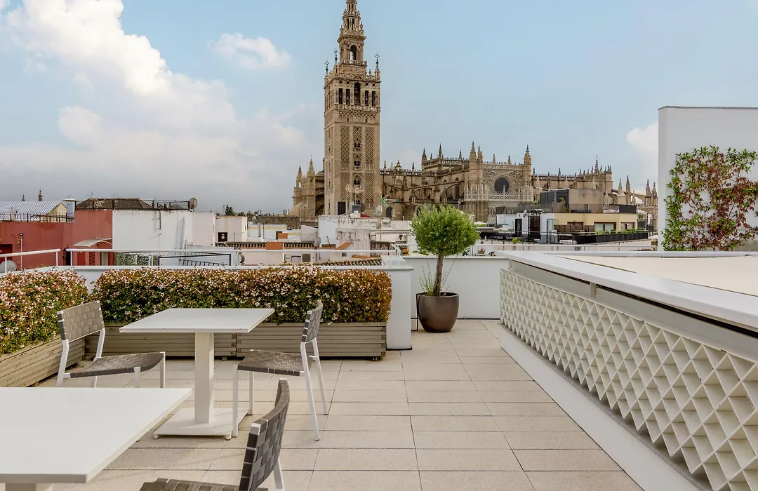 Numa Seville Molina-1
